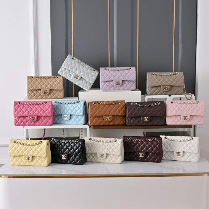 Picture of Chanel Handbags _SKUfw240126047fw